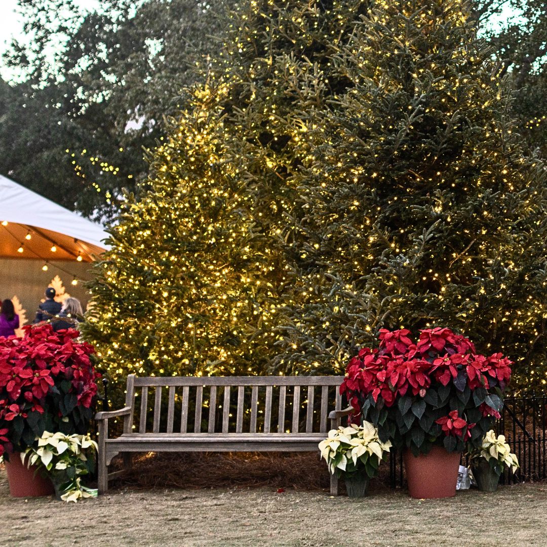 Freshfields Village Holiday Market Event